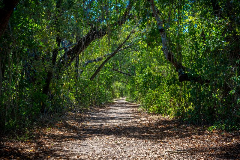Pinelands And Hardwood Hammocks Along The Route