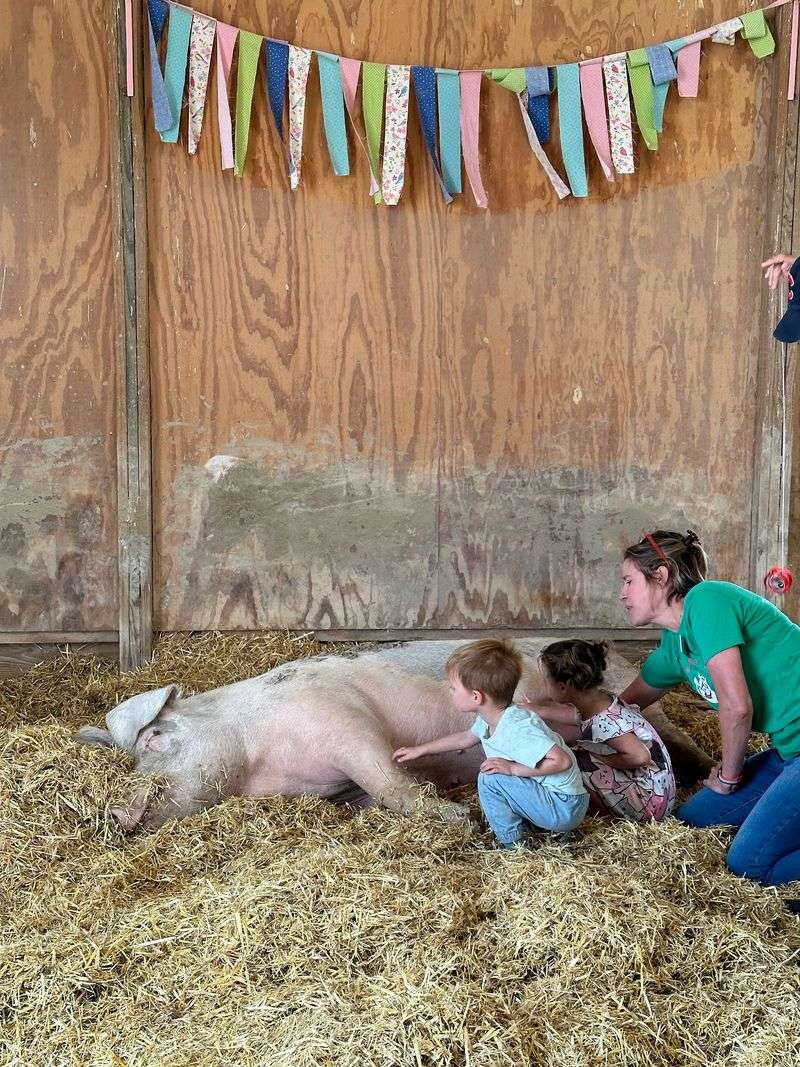 Animal Encounters Built Around Respect
