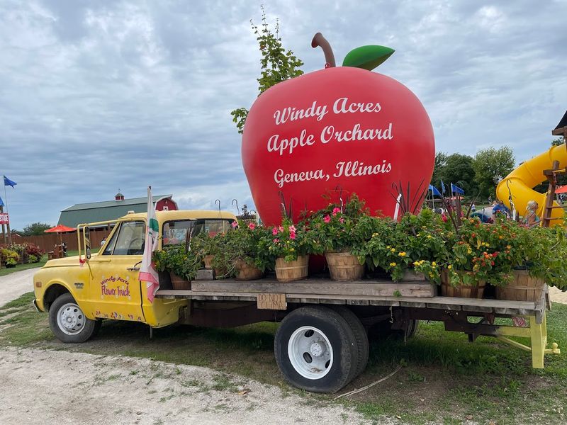 The Corn Bin, Giant Slide, And Classic Farm Fun For Kids