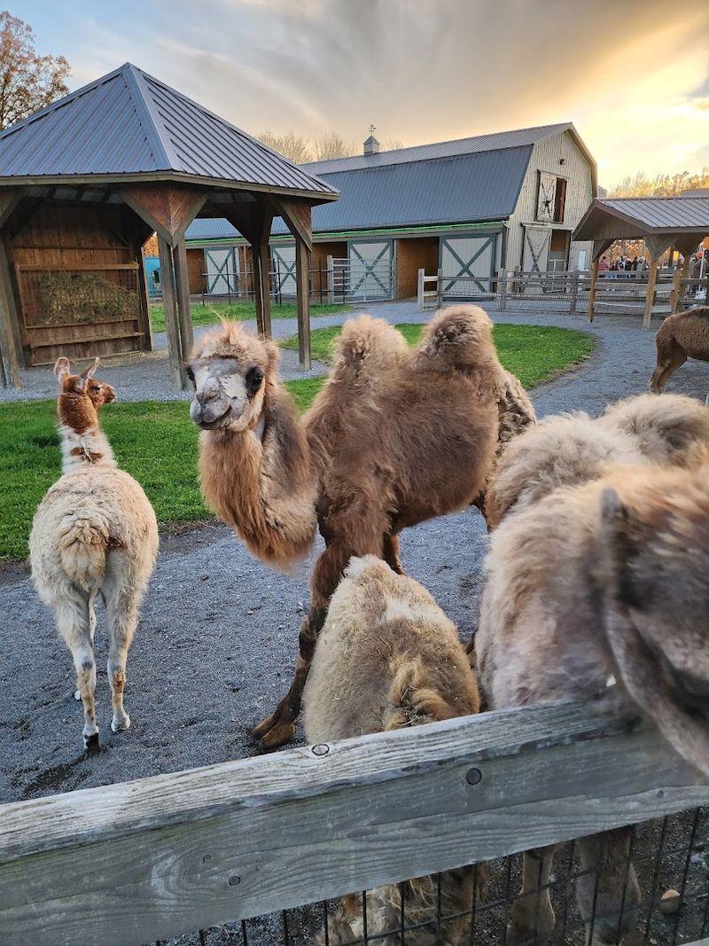 Holiday Lights and Seasonal Events