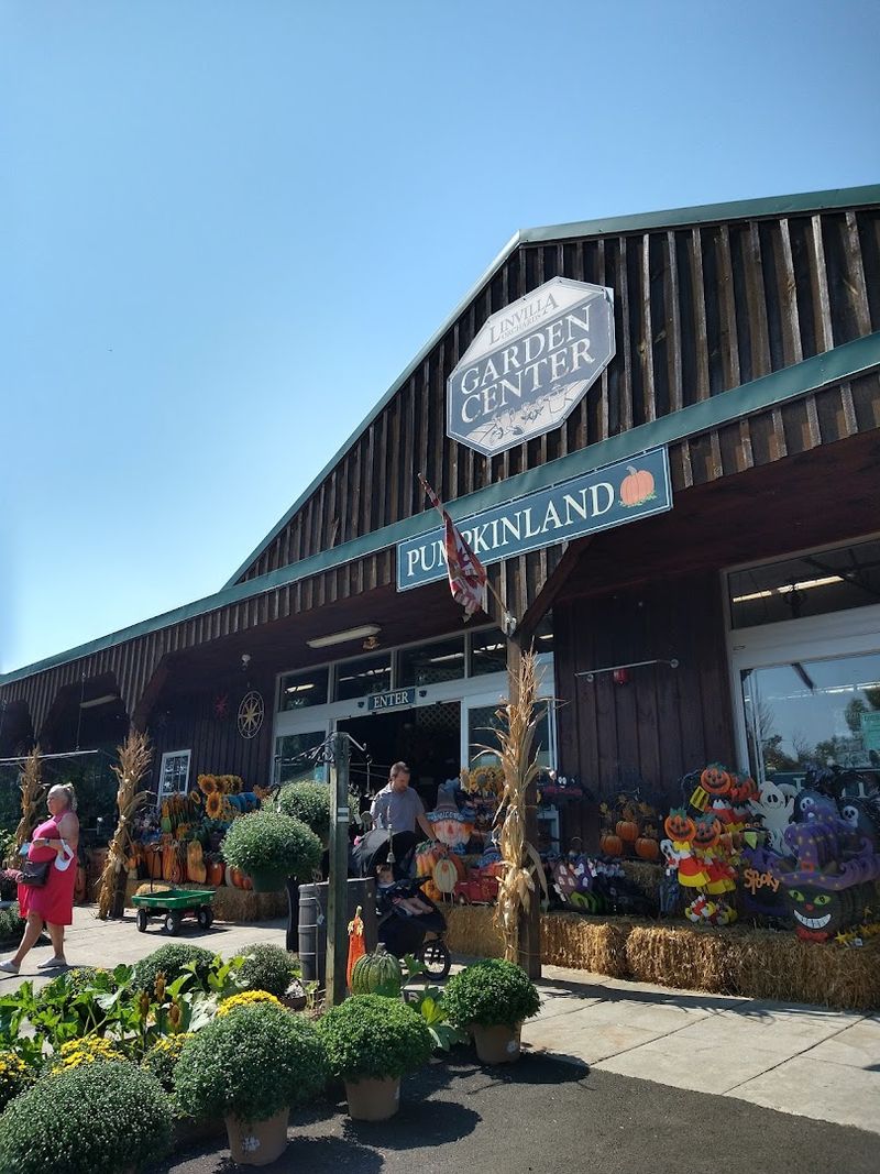 Strawberry And Cherry Picking Add Spring Excitement