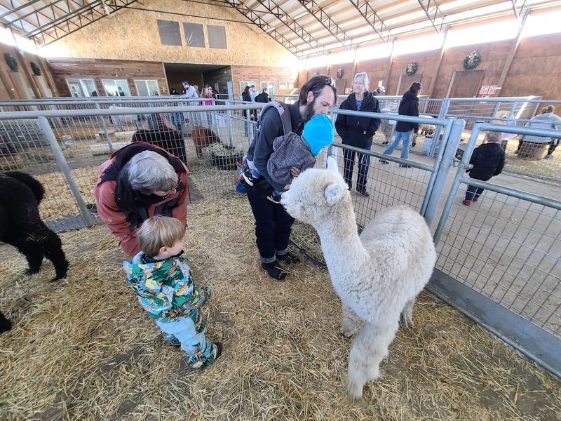 Animals That Are Clearly Loved, Not Just Housed