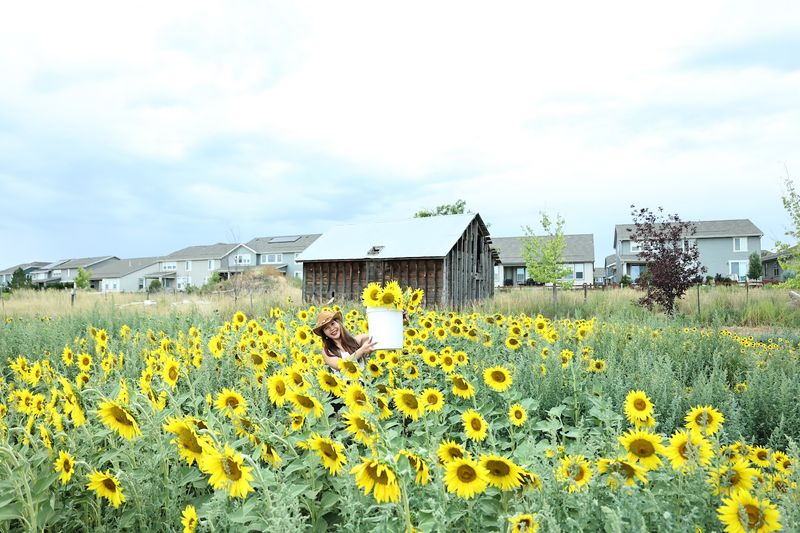 Local Honey That Tastes Like Someone Cared About the Bees