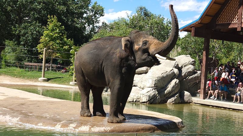 Animals Worth The Extra Walk