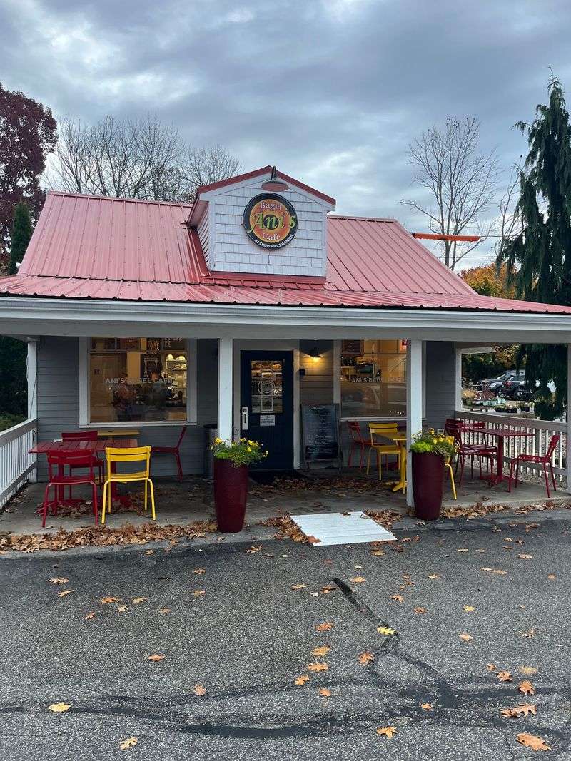 Ani's Bagel Cafe 