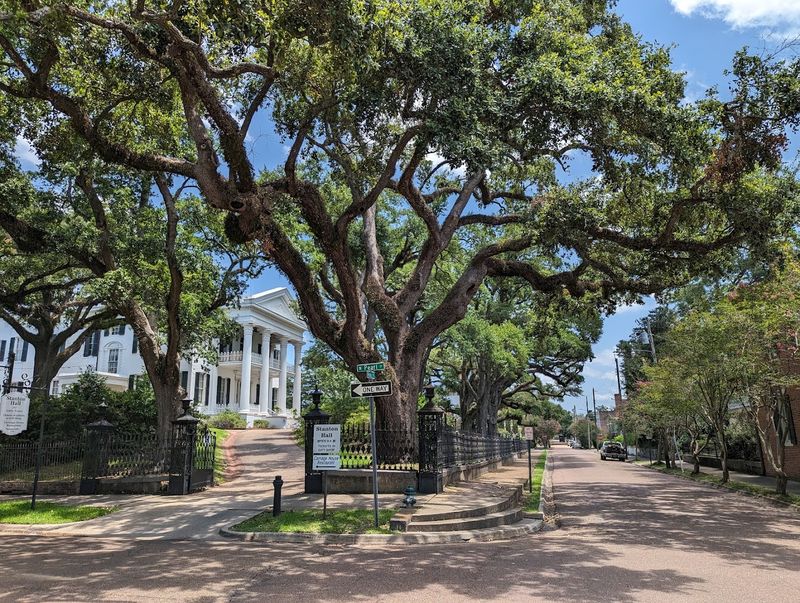 Antebellum Architecture That Costs Nothing To Admire