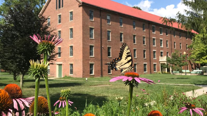Antioch College and the Intellectual Pulse of the Town