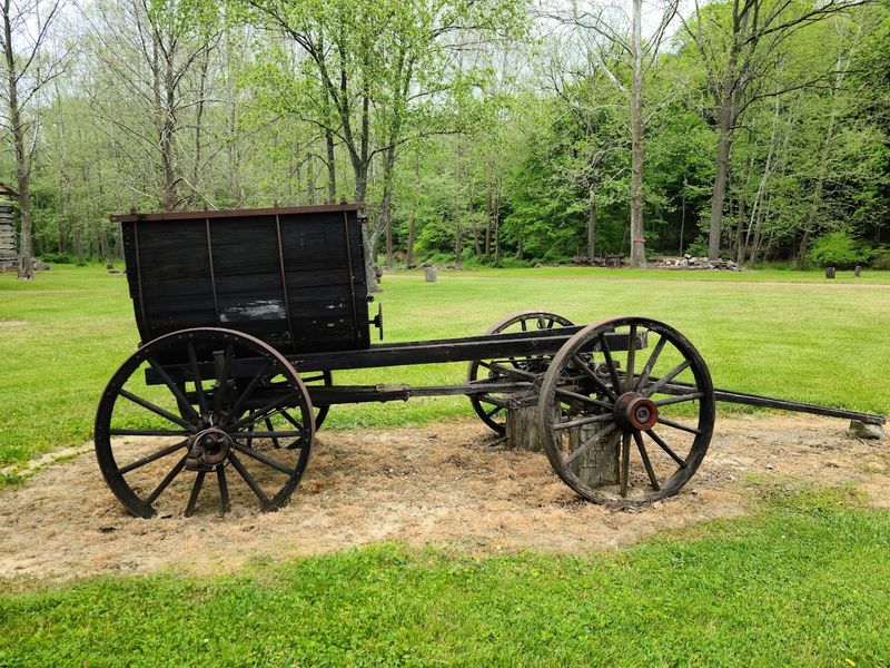Antique Farm Equipment and Mechanical Curiosities