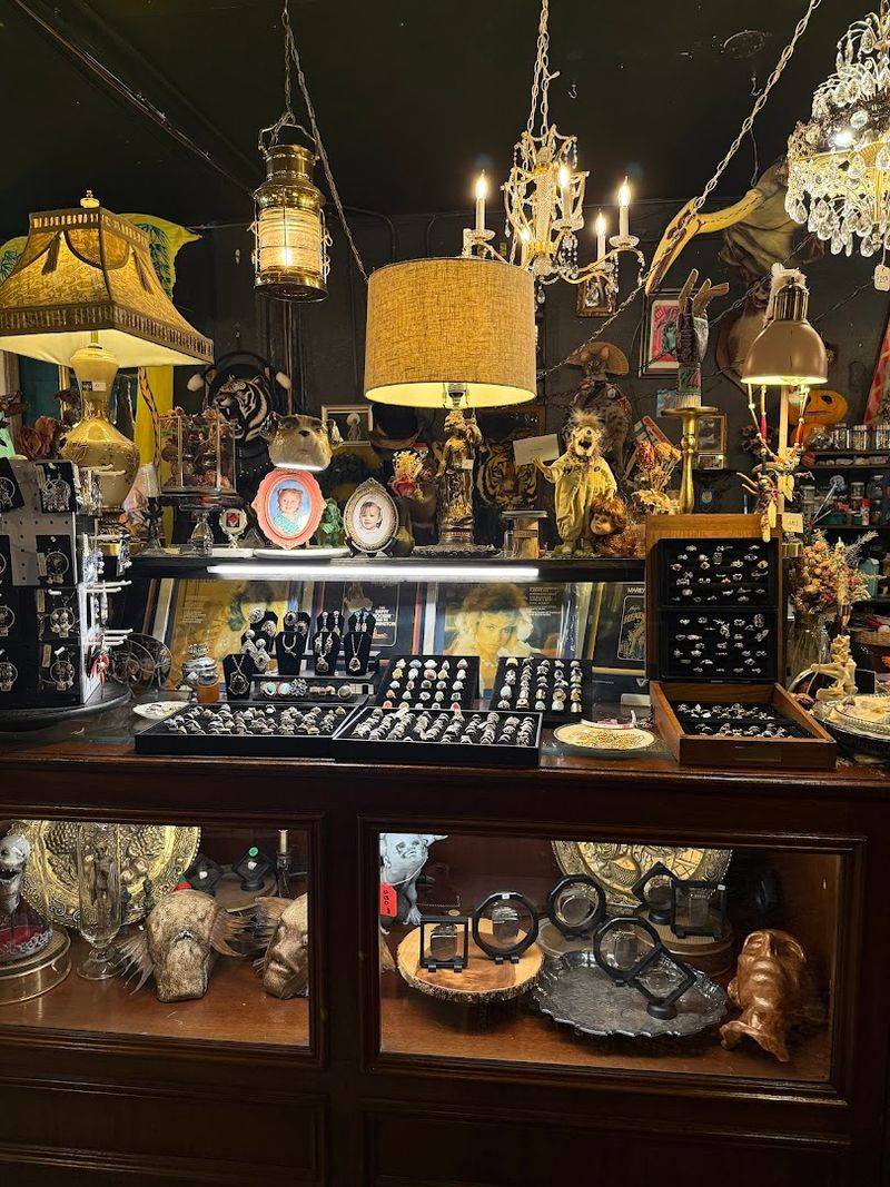 The Museum-Like Atmosphere You Did Not Expect