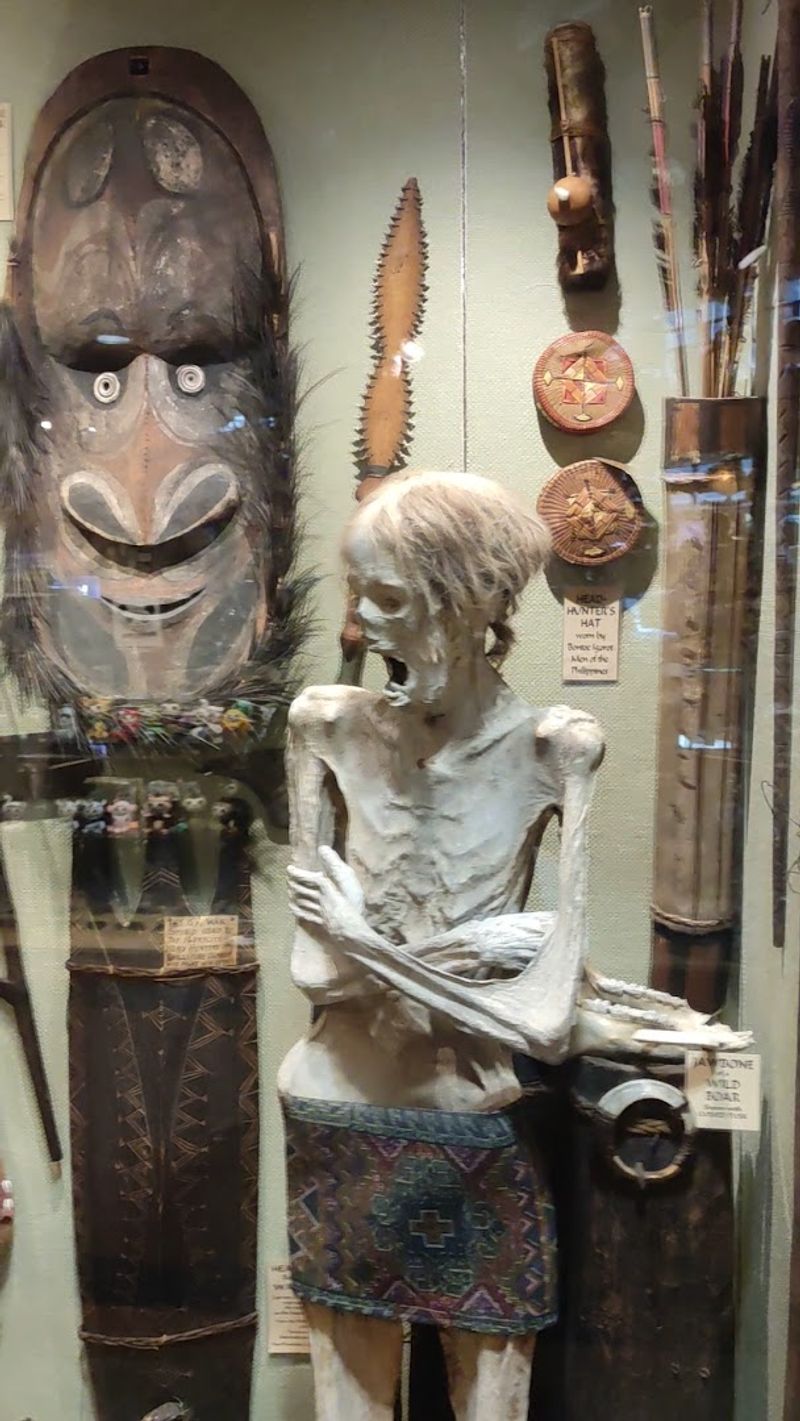 Antique Oddities and Victorian Curiosities