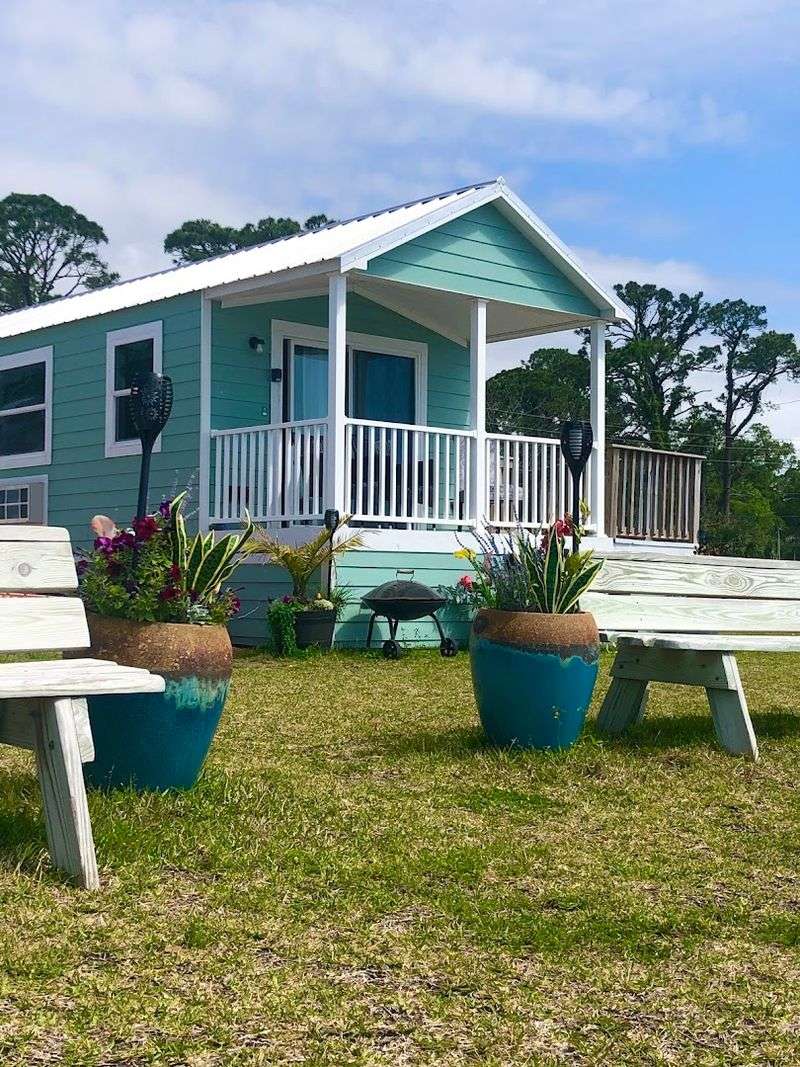 Apalachicola Bay Supports A Living Ecosystem