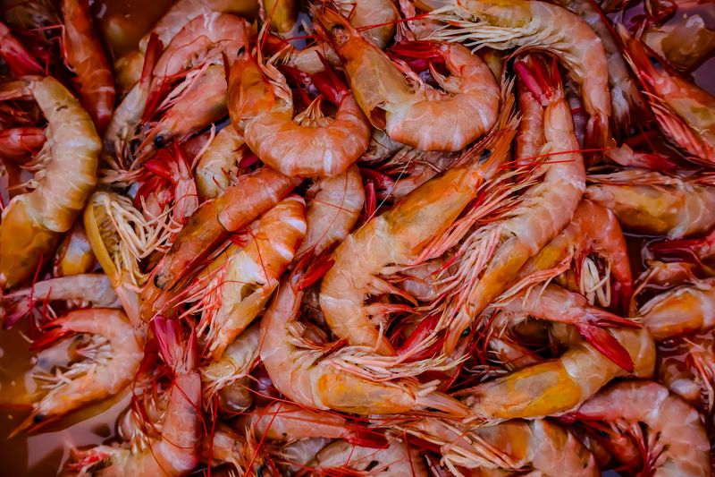 Key West Pink Shrimp Peel And Eat