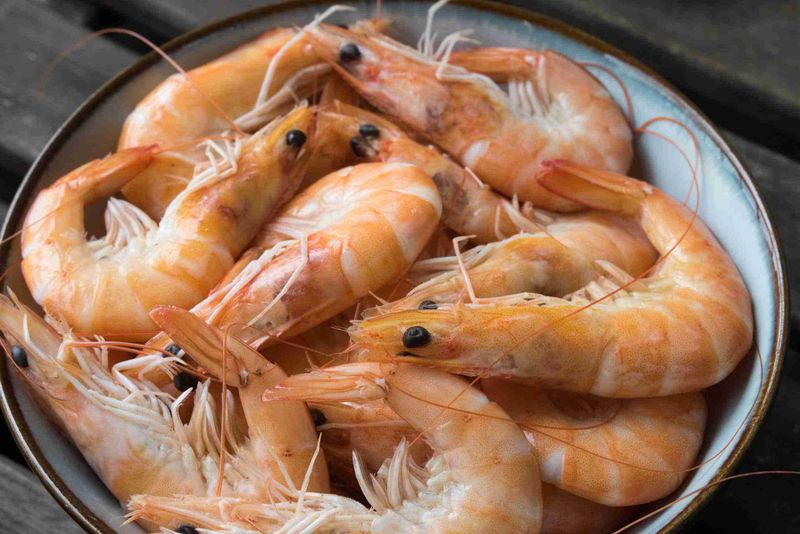 Pink Shrimp: The Gulf Coast's Sweet Secret
