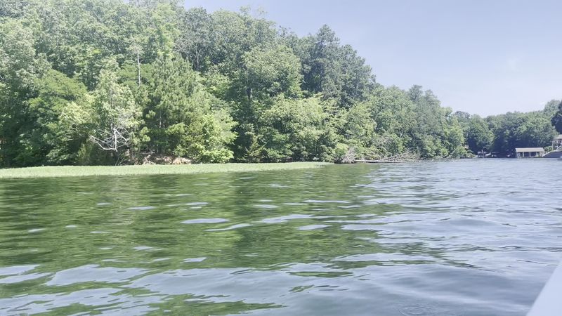 Lake Gaston Byway In South Central Virginia