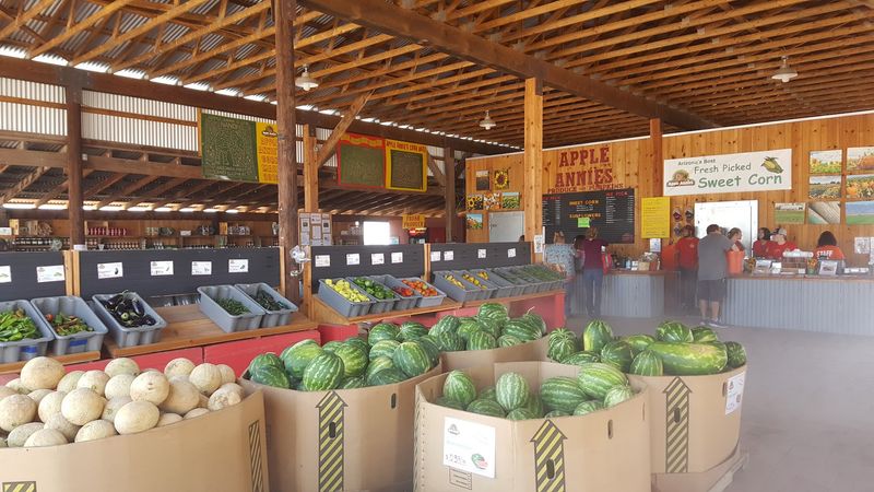 Apple Annie's Produce & Pumpkins, Willcox, AZ Apple Annie's Produce & Pumpkins, Willcox, AZ