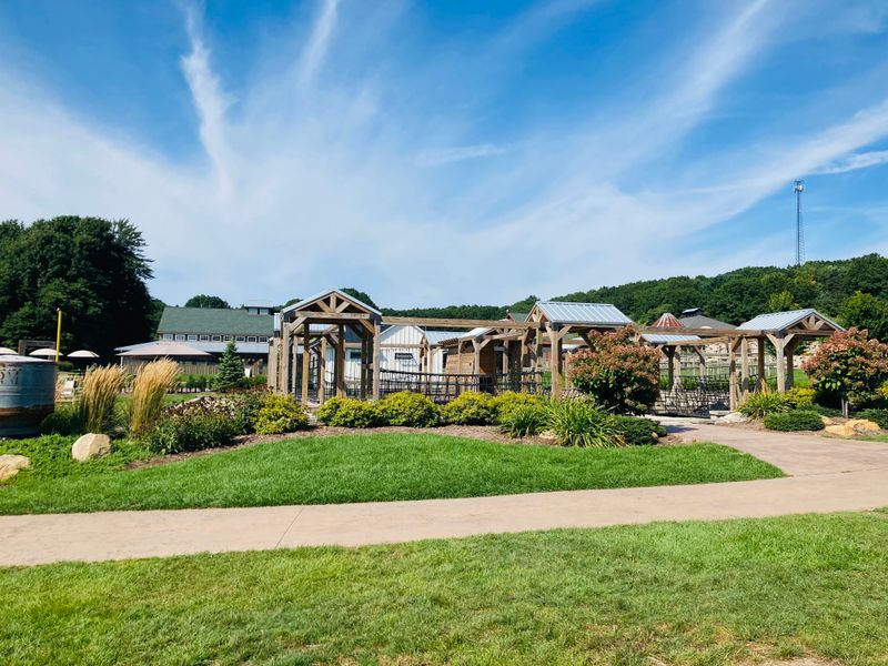 Splash Pad And Midday Cooldown