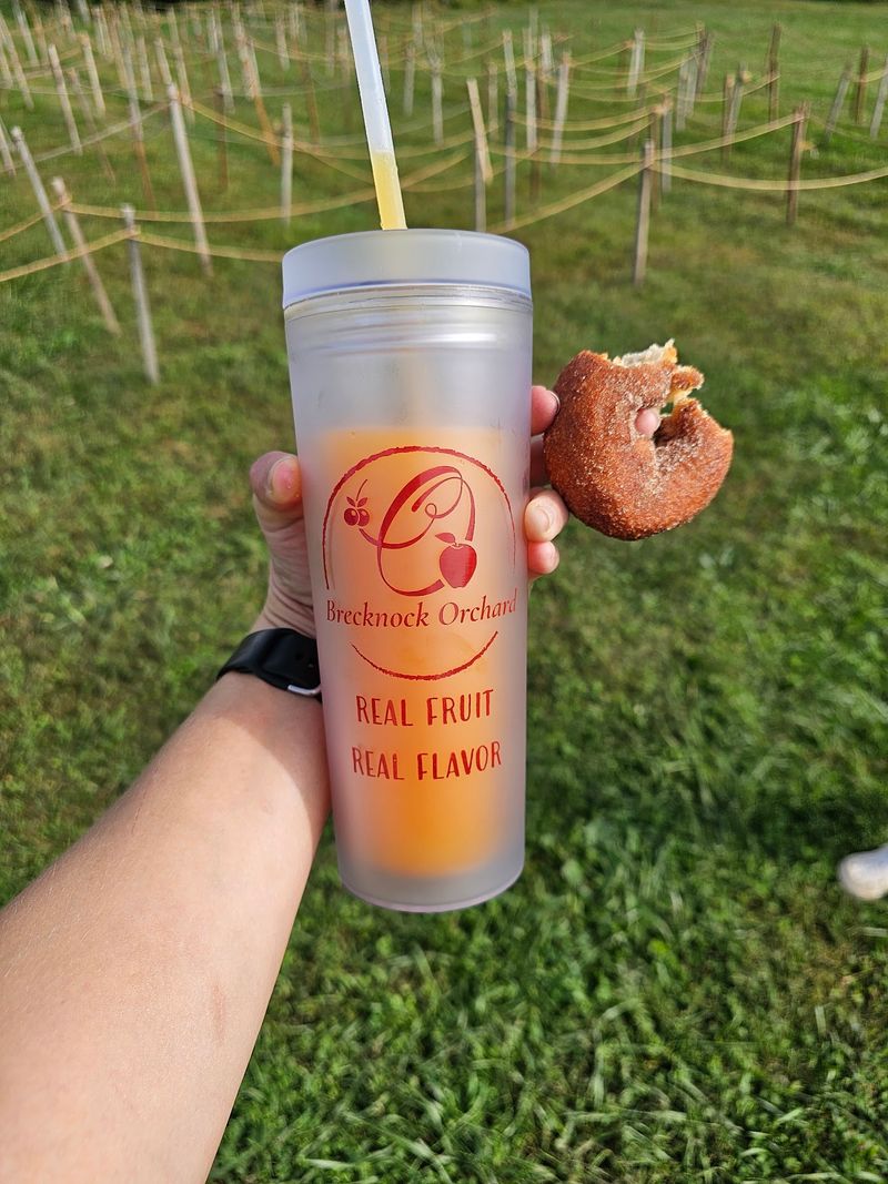 Apple Cider Donuts Fried While You Wait