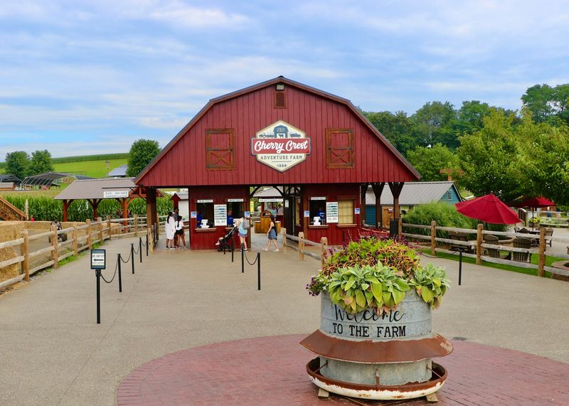 Apple Cider Donuts, Milkshakes And A Cashless Setup