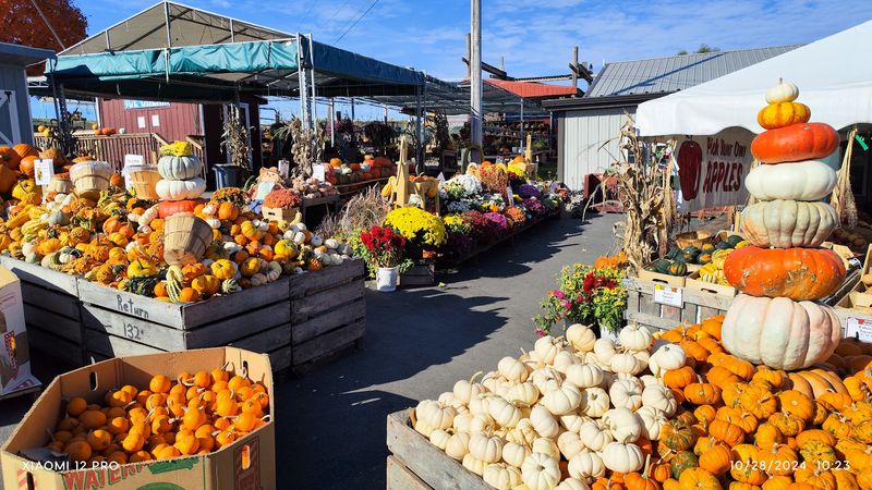 The Farmers Market Turns A Donut Run Into A Full Day
