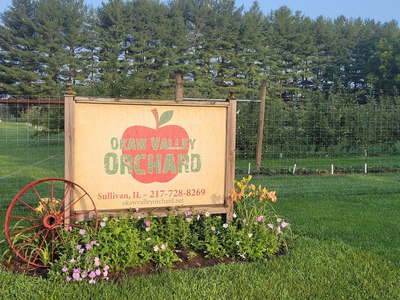 Apple Orchards And Fresh Cider Nearby