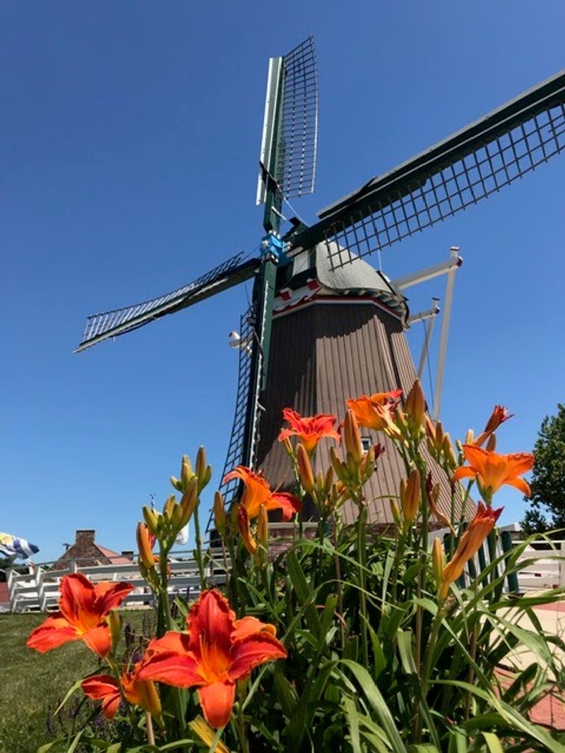 Fulton and the De Immigrant Dutch Windmill