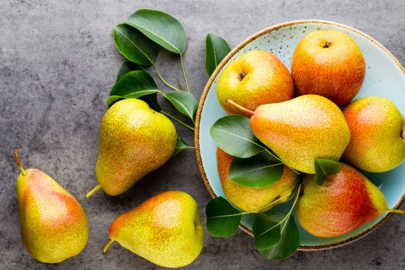 Pear: The Fiber-Rich Blood Sugar Stabilizer