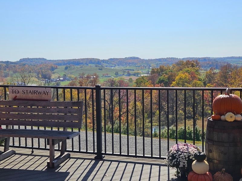 The View That Stops You in Your Tracks