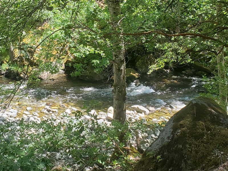 Applegate River Applegate River