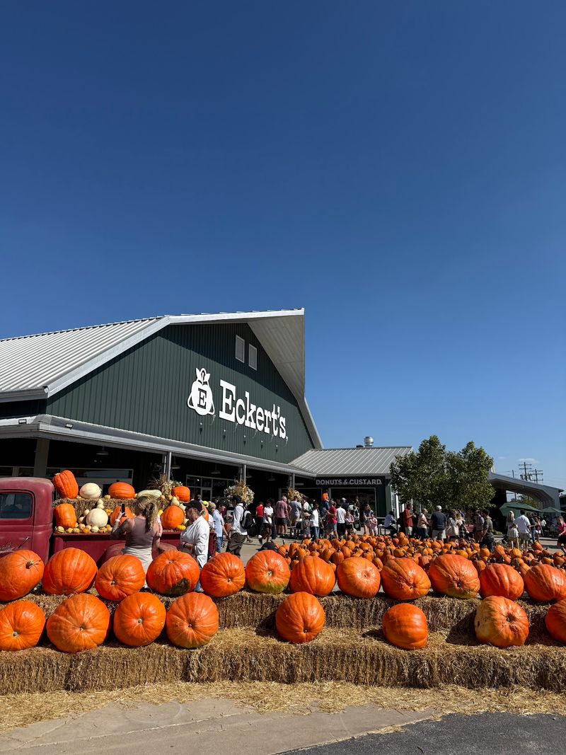 Apples, Berries, Pumpkins, and Everything in Between Apples, Berries, Pumpkins, and Everything in Between