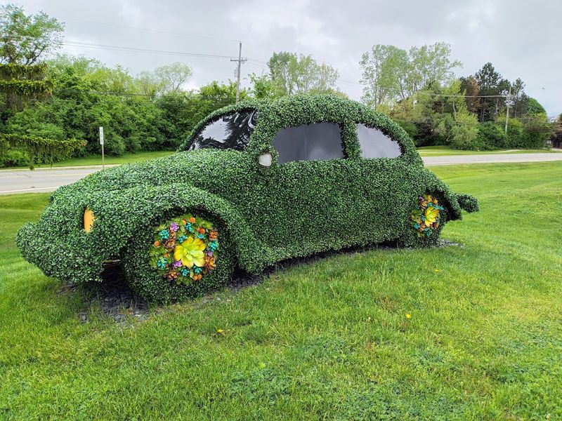 Do Not Skip The Outdoor Quirks