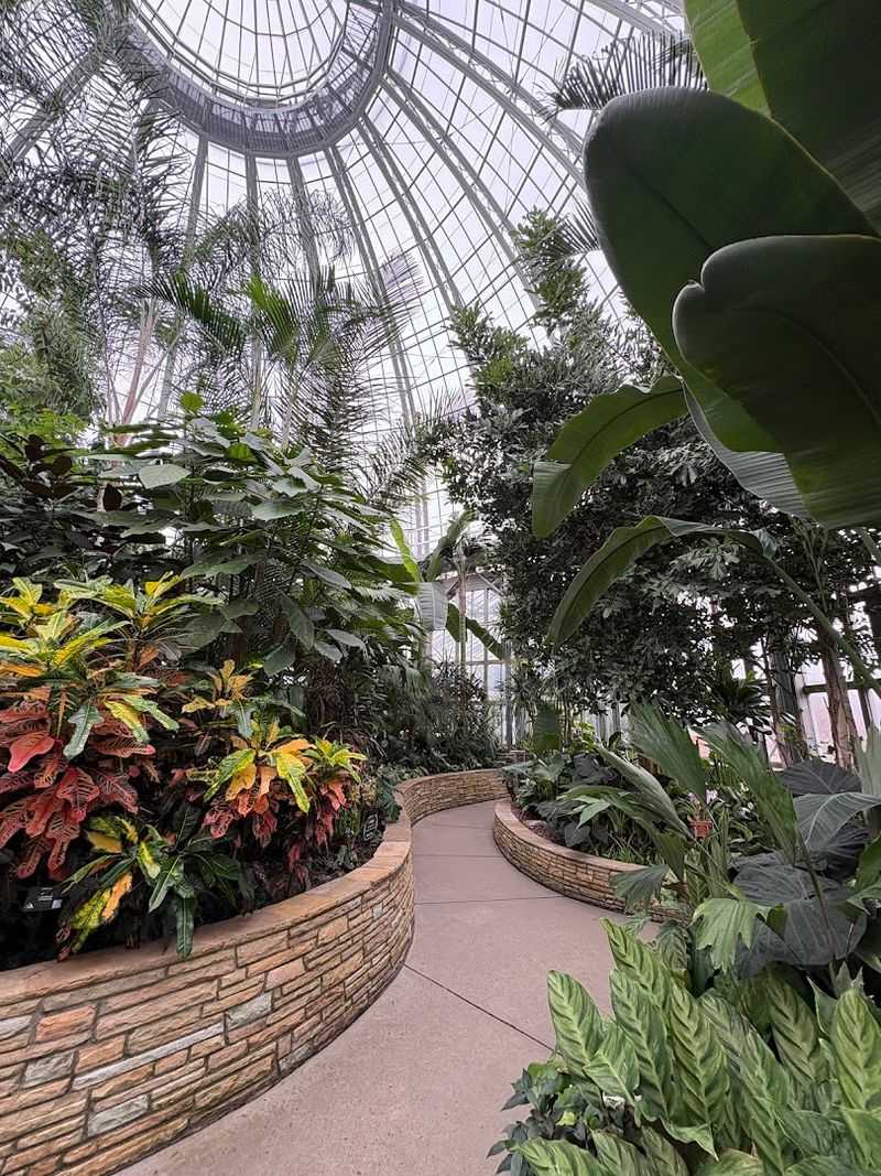 Pair With The Conservatory Next Door