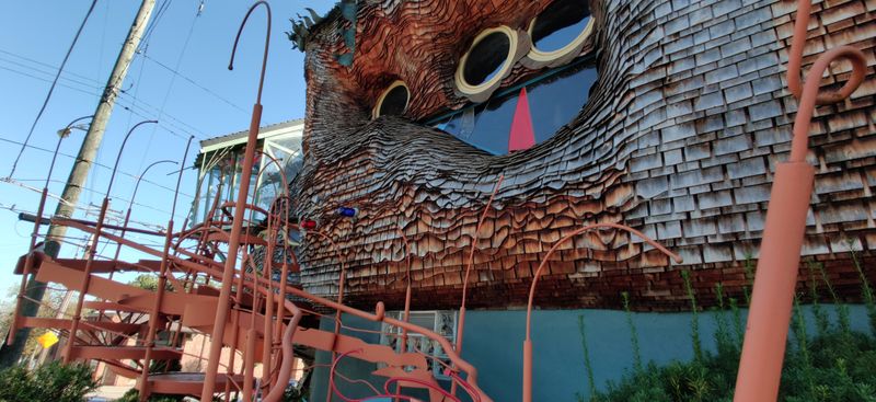 Read The Shingles Up Close