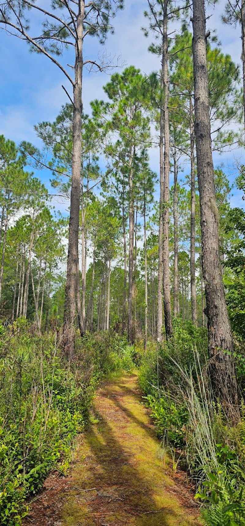 April Weather Makes The Trail Truly Comfortable