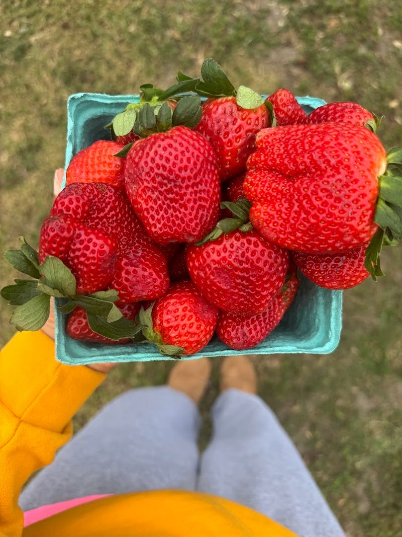 A Florida Tradition Worth Passing Down