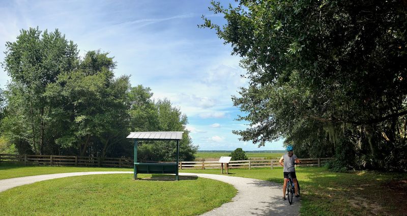 Wild Horses Of Paynes Prairie Are The Star Attraction