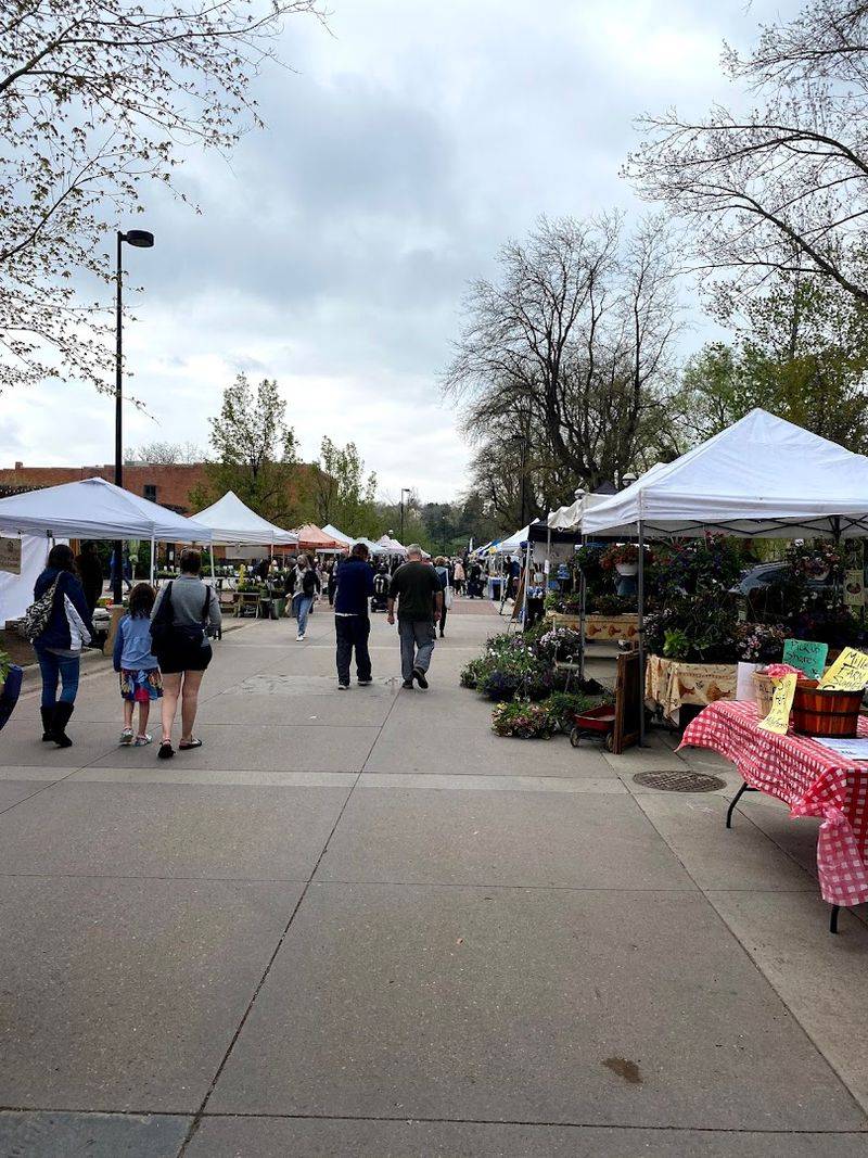 Three Sections, One Market: Understanding the Layout Before You Arrive