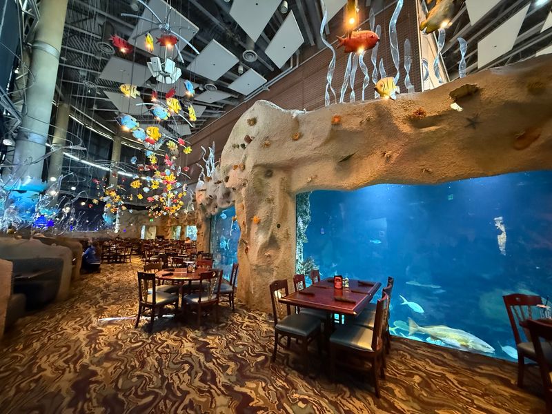 Aquarium Restaurant, Denver