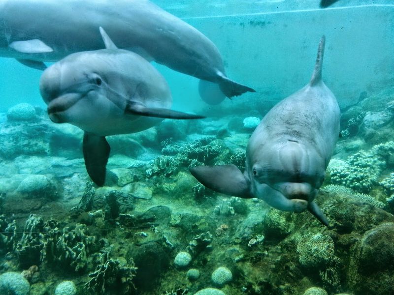 Sesame Street Land: A Cozy Winter On A Sunny Block