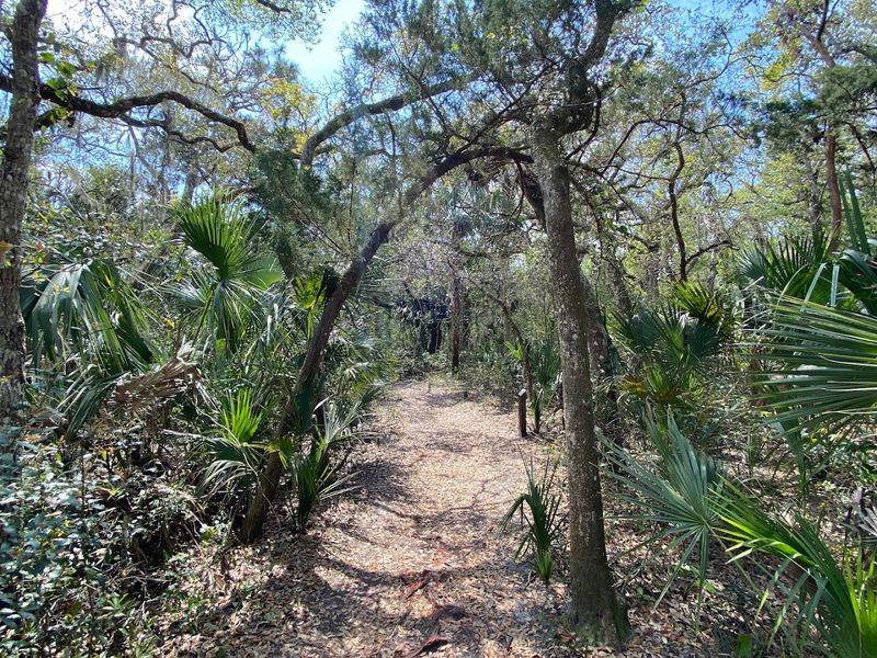 Arboretum And Walking Trails