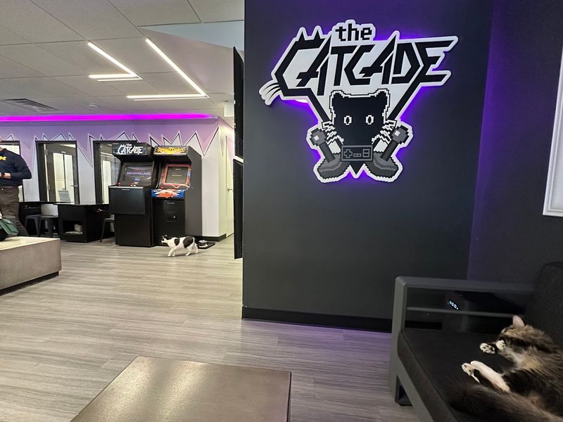 Operating Hours And The Best Days To Visit