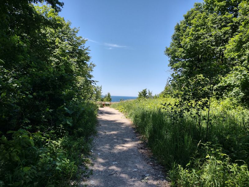 Arcadia Dunes Old Baldy Trail - M22 Northwood Hwy, Arcadia
