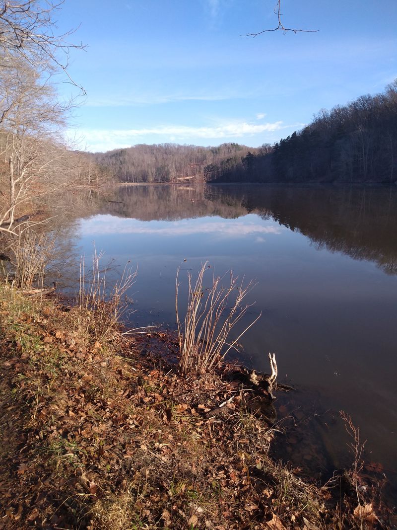 Lake Vesuvius Lakeshore Trail – Wayne National Forest, Near Ironton