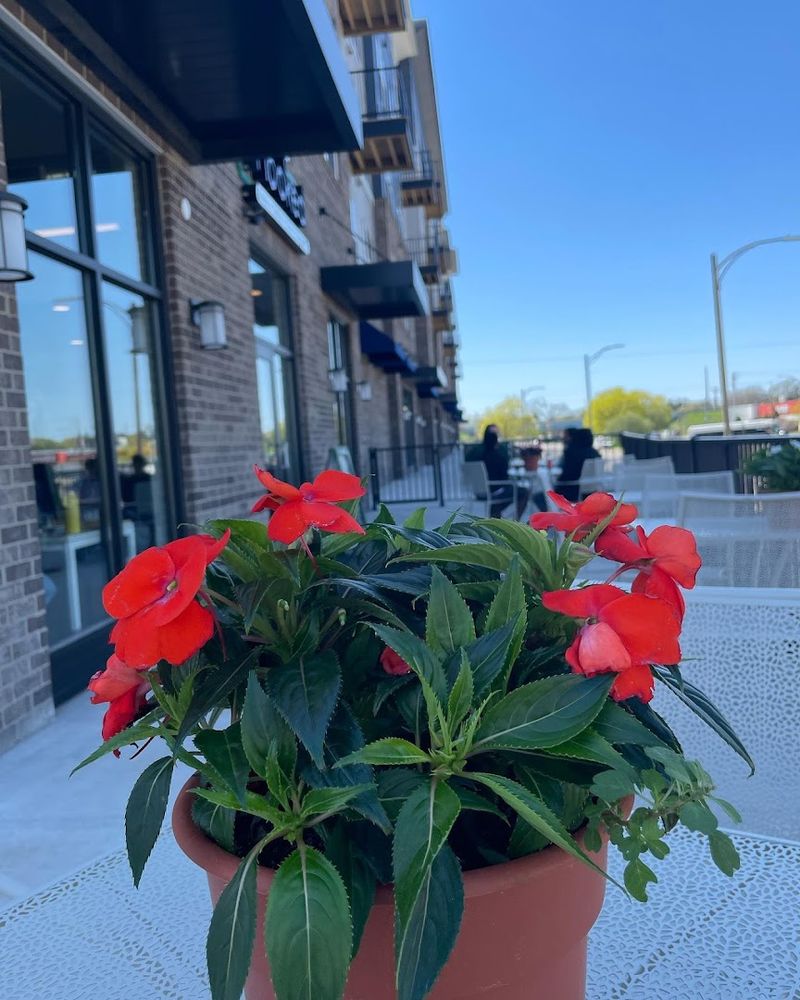 Seasonal Patio Moments