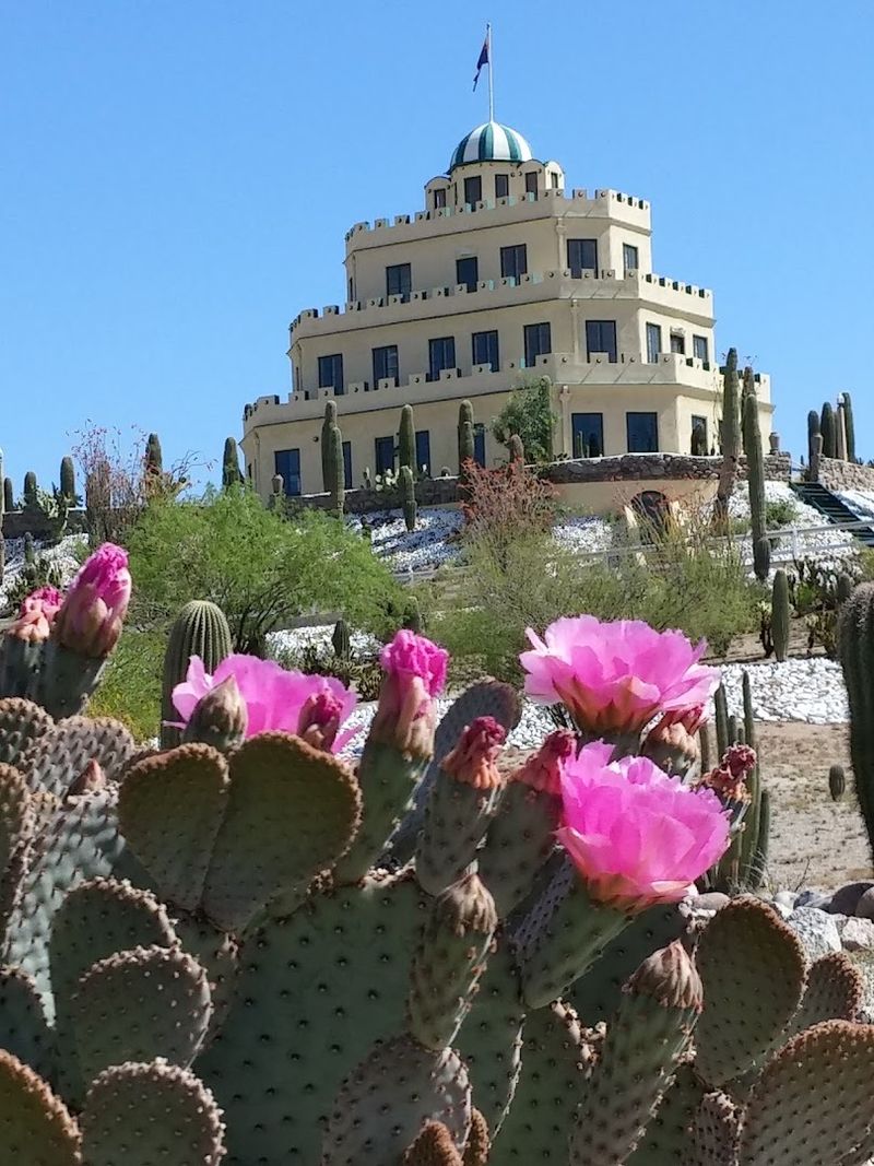 The Cactus Gardens That Surround It