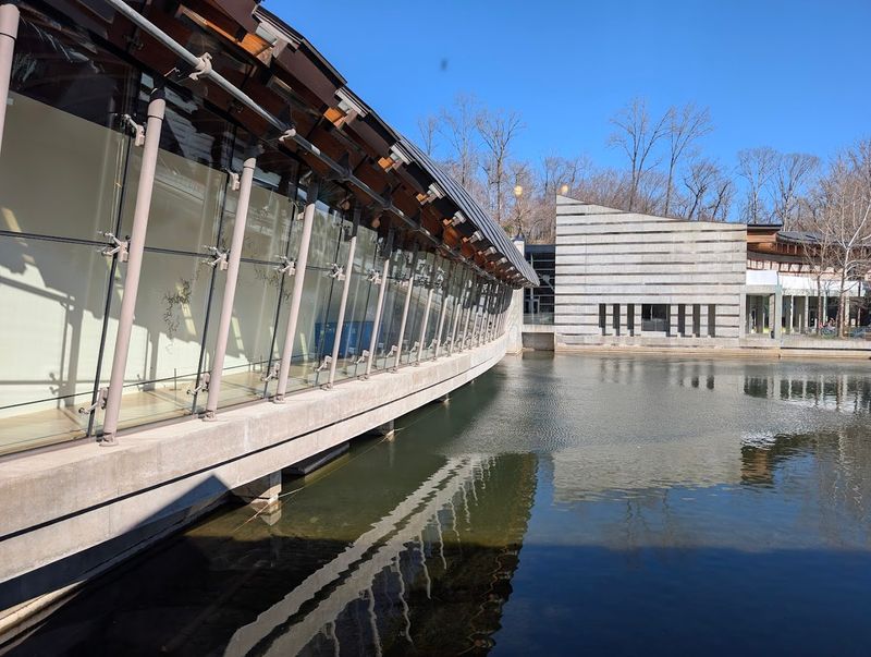 A Design That Turns Light, Water, And Space Into Art