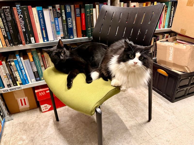 Detroit Specials Used Books, Detroit