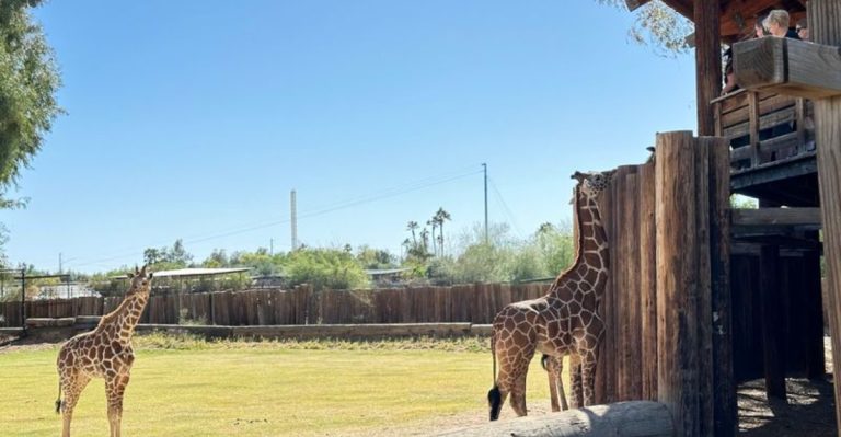 Arizona Has A 215-Acre Wildlife Park Nearby Where You Can Get Up Close To Exotic Animals