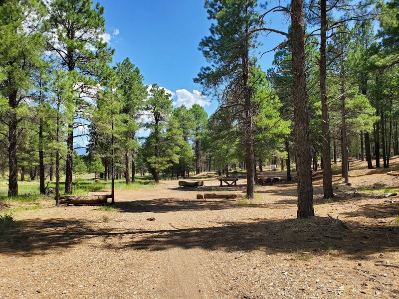 Arizona Highland Celtic Festival, Fort Tuthill County Park