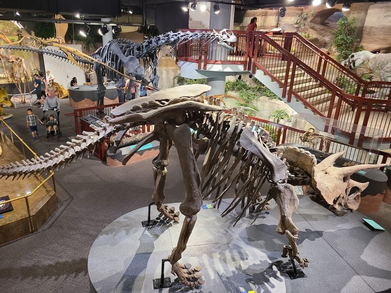 Arizona Museum Of Natural History, Mesa Arizona Museum Of Natural History, Mesa