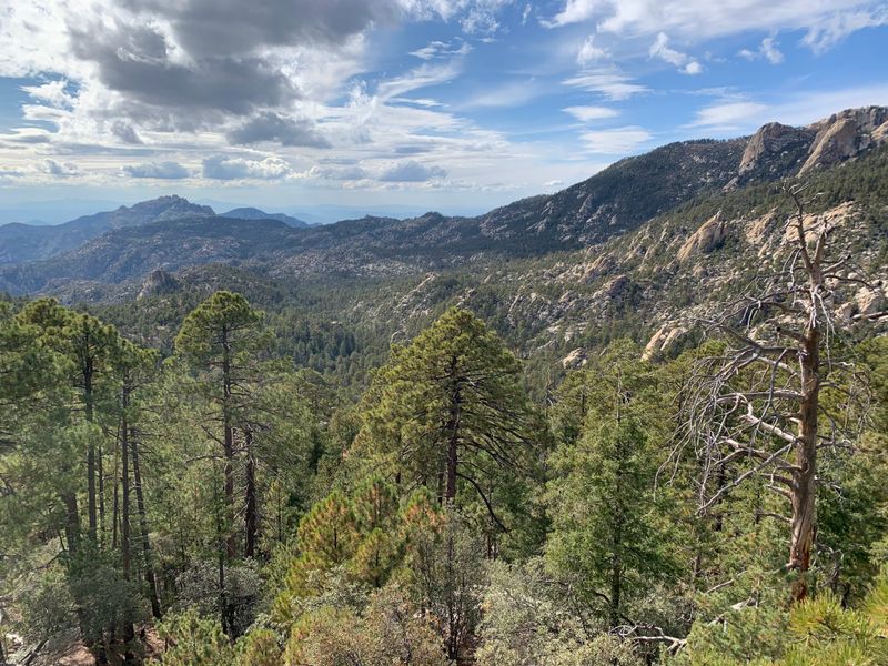 Mount Lemmon & Summerhaven